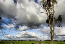  高频交易者狂喜！Websea 交易所 90% 返佣 + 极速成交，一年省出 10 万 U